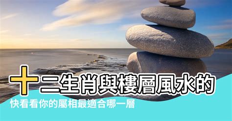 屬兔 方位|屬兔最佳住房樓層和風水方位